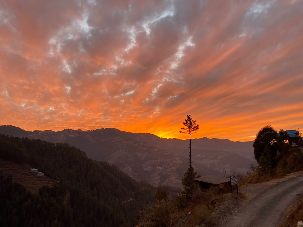 Alpine Crest Homestay Gallery 4