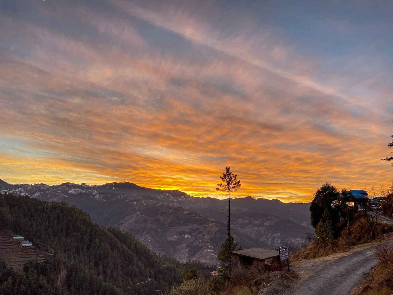 Private balcony opening onto the deodar valley at Alpine Crest Homestay